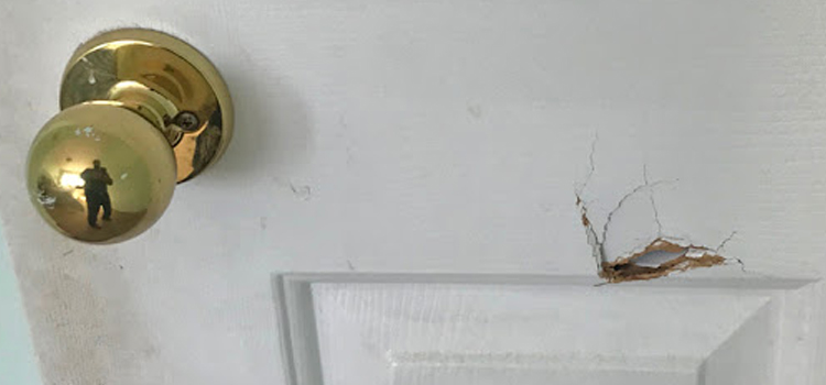 interior door hole repair Del Aire