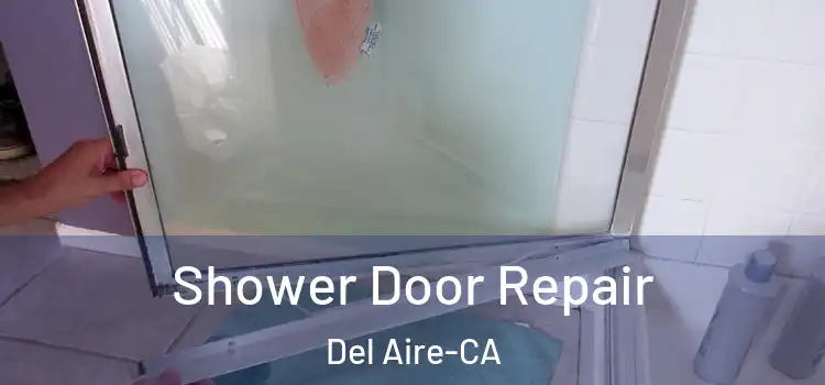 Shower Door Repair Del Aire-CA
